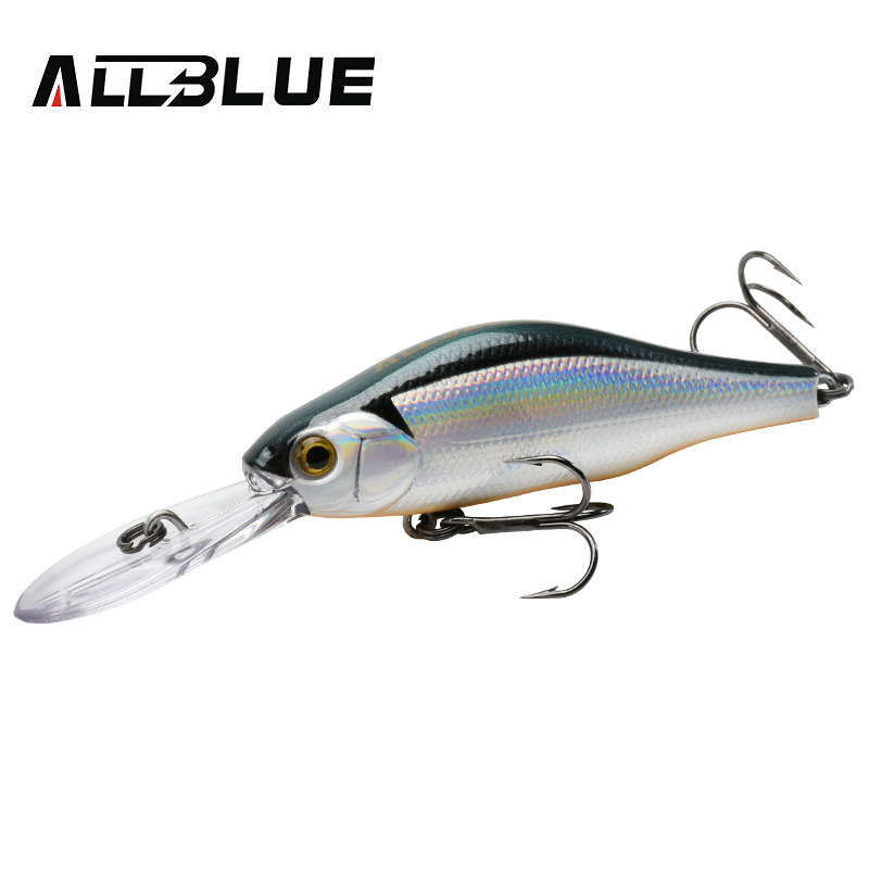 Fishing Equipment Deals - ALLBLUE HUNCH 70SP DR Professioneller Angelköder