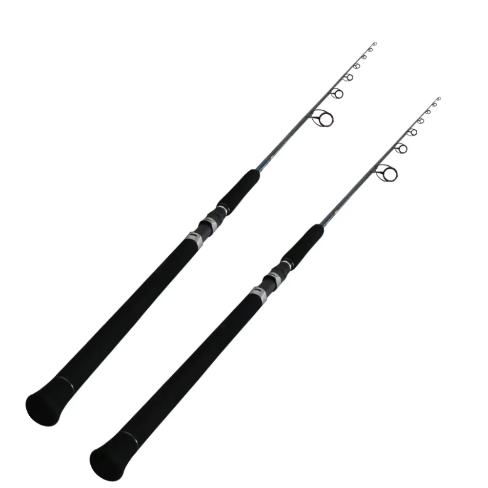 Carbon Fishing Rod - Neues Design 2,51m FUJI Rute Hochkarbon