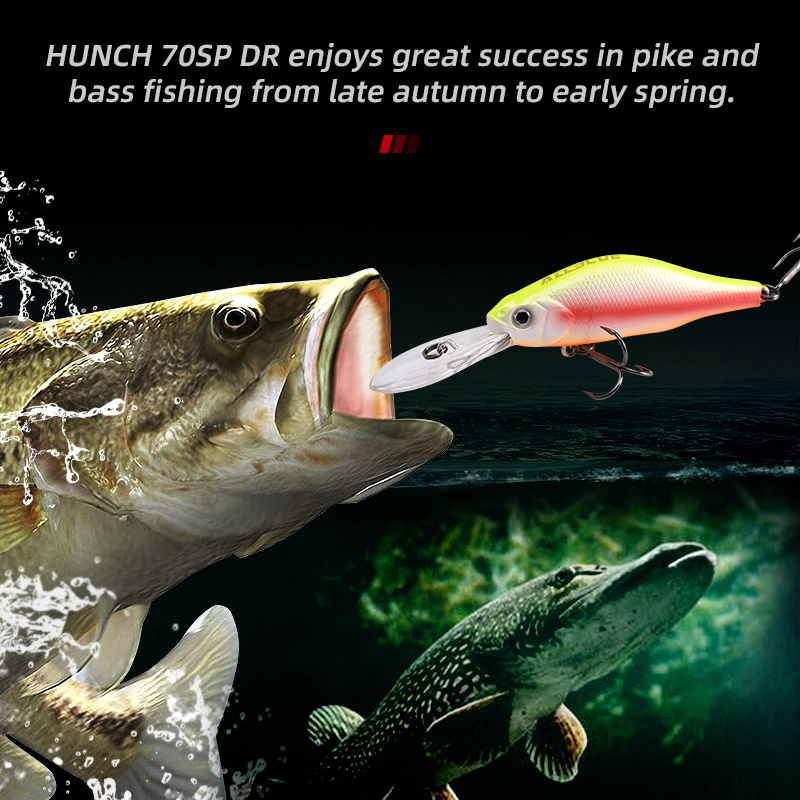 ALLBLUE HUNCH 70SP DR Professi – Fishing Equipment Deals Bewertung und Preis